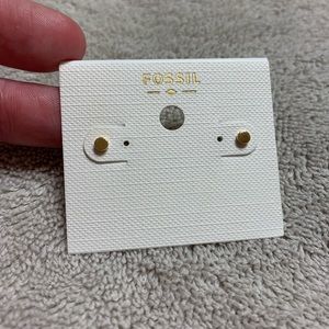 Fossil Stud Earrings Gold